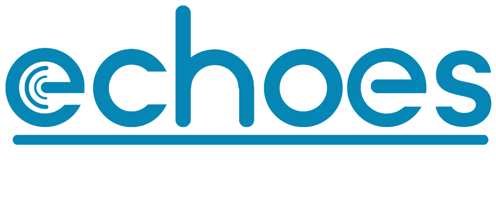 Needham Echo Logo
