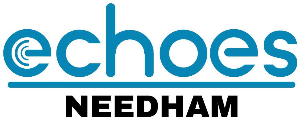 Needham Echo Logo